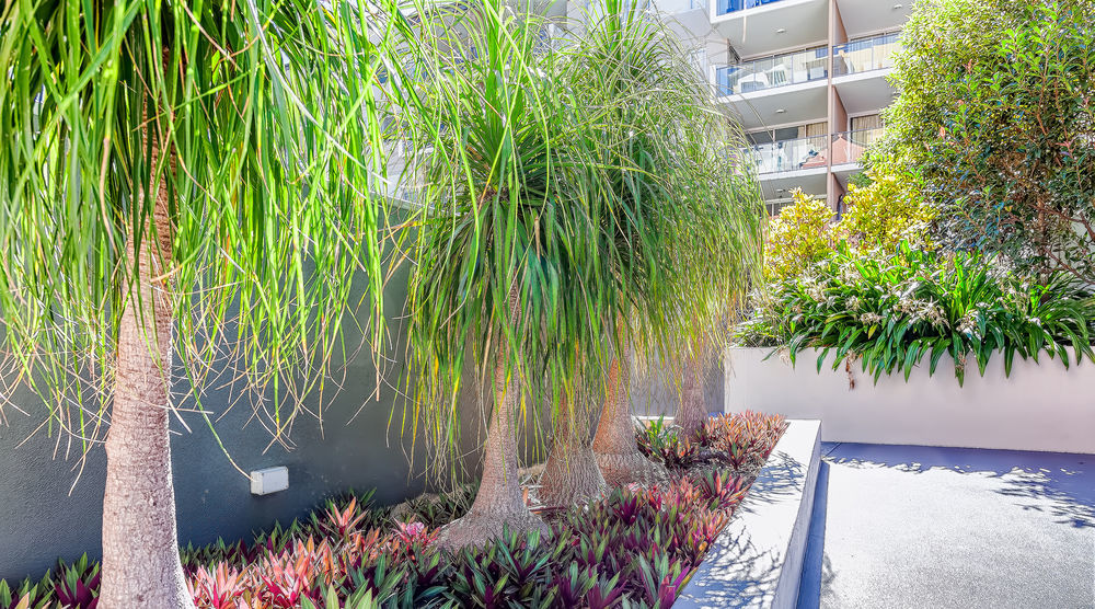 Trilogy Residences Brisbane Eksteriør bilde